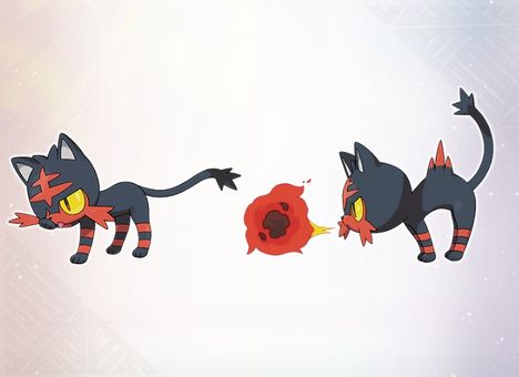 The Fire type Pokemon Litten The Fire type Pokemon Litten